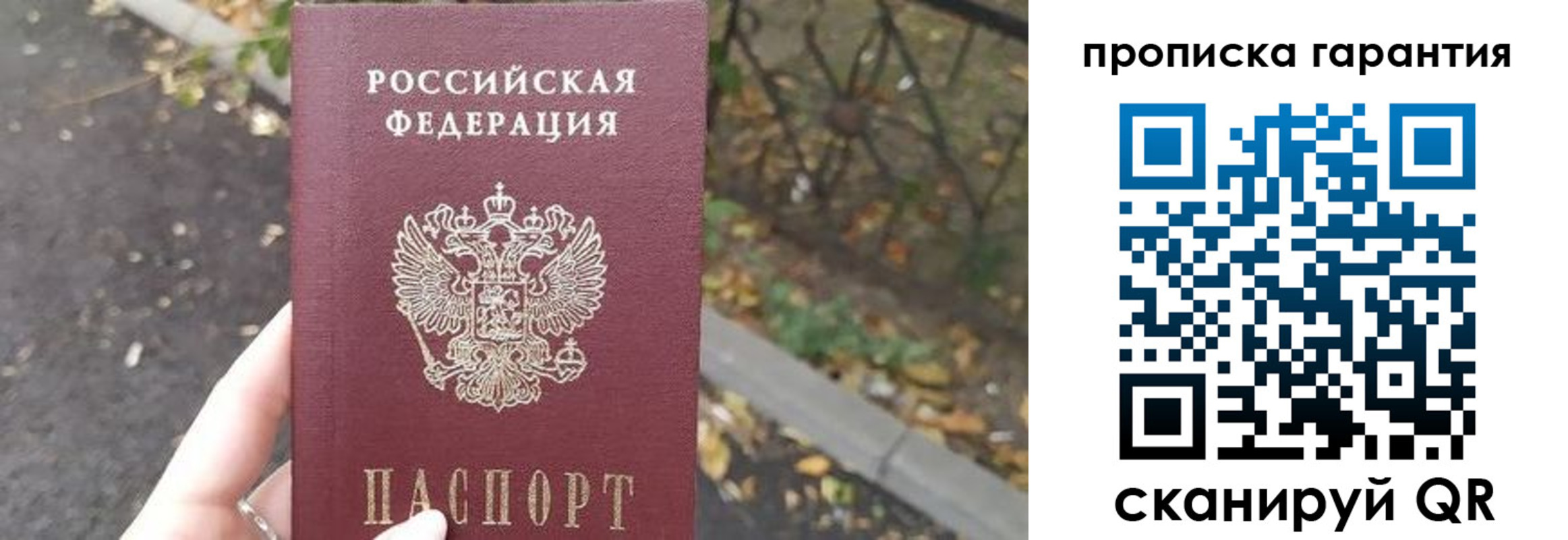 где прописаться в Кингисеппе